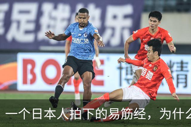 一个日本人拍下的易筋经，为什么让国内练家子沉默了