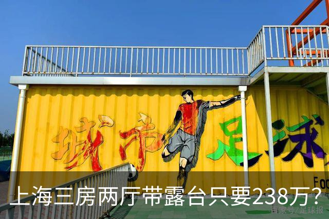 上海三房两厅带露台只要238万？12名网络发布虚假房源低价引流违法人员被抓
