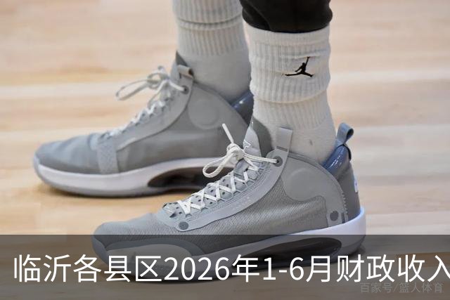 临沂各县区2026年1-6月财政收入：沂水县升至第二，蒙阴县沂南县莒南县等大涨