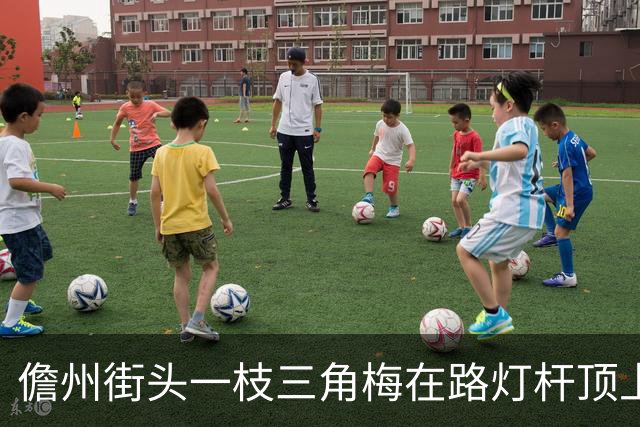 儋州街头一枝三角梅在路灯杆顶上开花，被赞“全网最努力”，园林管理局：其生长状况良好