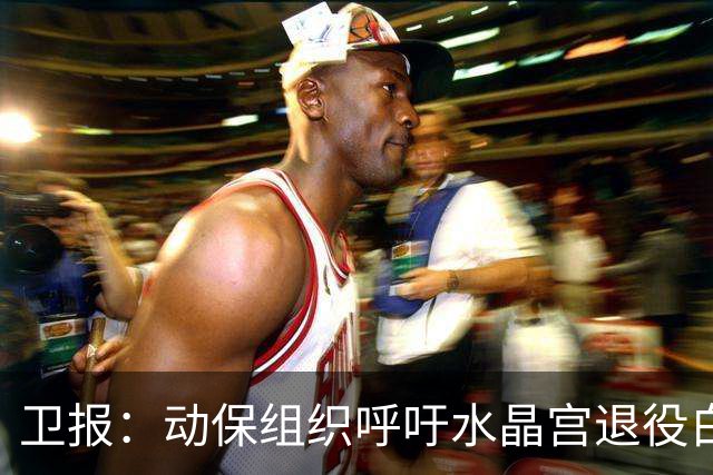 卫报：动保组织呼吁水晶宫退役白头海雕，别再用活体动物当吉祥物
