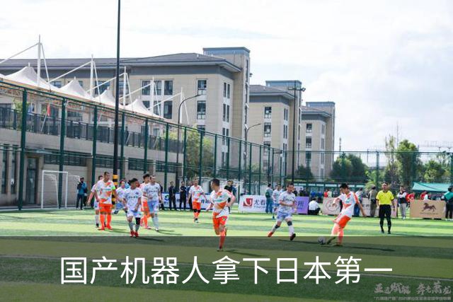 国产机器人拿下日本第一