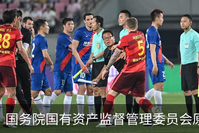 国务院国有资产监督管理委员会原副部长级干部潘良被提起公诉