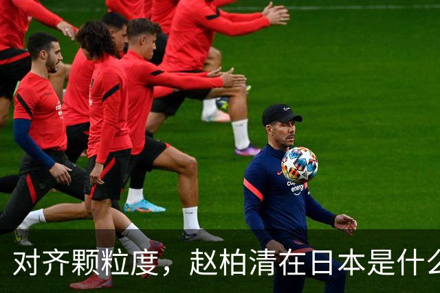 对齐颗粒度，赵柏清在日本是什么水平？