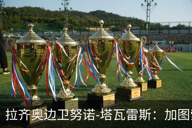 拉齐奥边卫努诺-塔瓦雷斯：加图索真诚直接