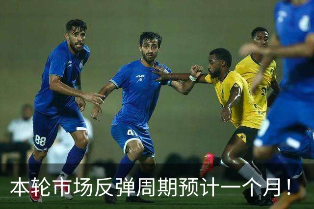 本轮市场反弹周期预计一个月！