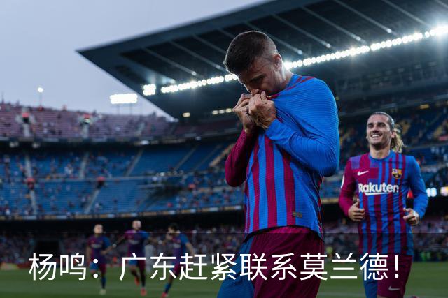 杨鸣：广东赶紧联系莫兰德！