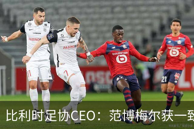 比利时足协CEO：范博梅尔获一致好评，球员们都喜欢他的踢法