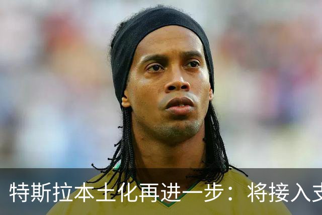 特斯拉本土化再进一步：将接入支付宝车载助手，告别手机停车缴费