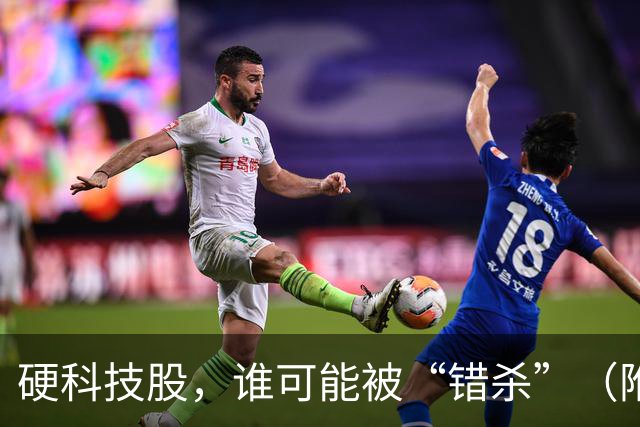 硬科技股，谁可能被“错杀”（附股）