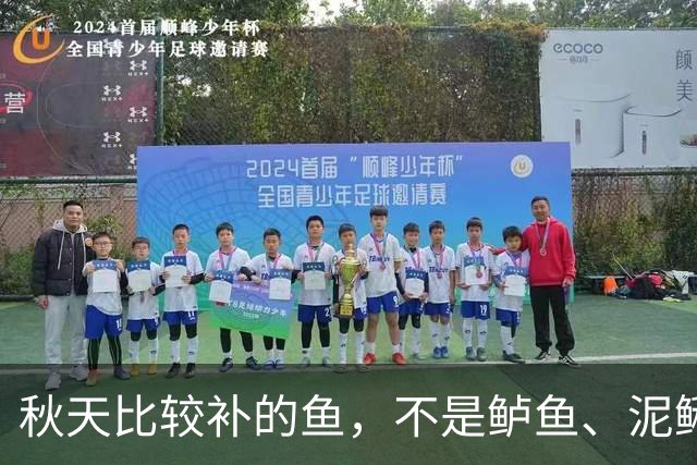秋天比较补的鱼，不是鲈鱼、泥鳅，而是这3种海捕鱼，应季肥美纯野生，贵点也要舍得吃！