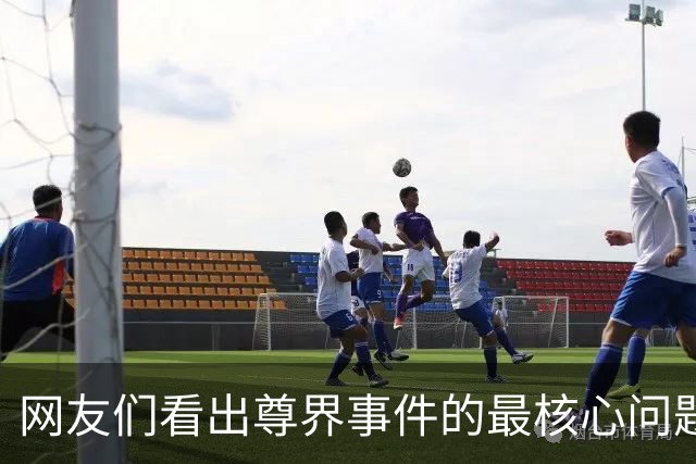 网友们看出尊界事件的最核心问题了