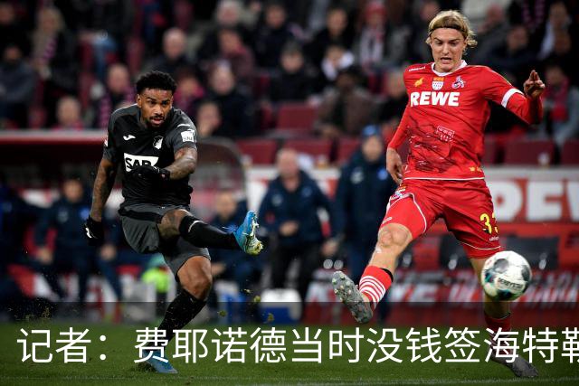 记者：费耶诺德当时没钱签海特勒伊达