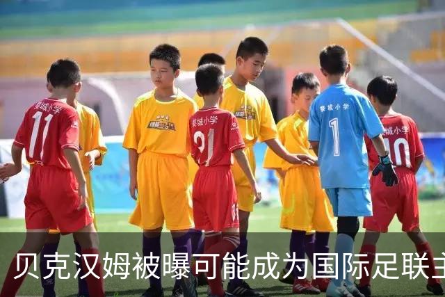 贝克汉姆被曝可能成为国际足联主席，有望获欧足联支持；德国足协主席称“需要一位正直的、能恢复协会声誉的人”
