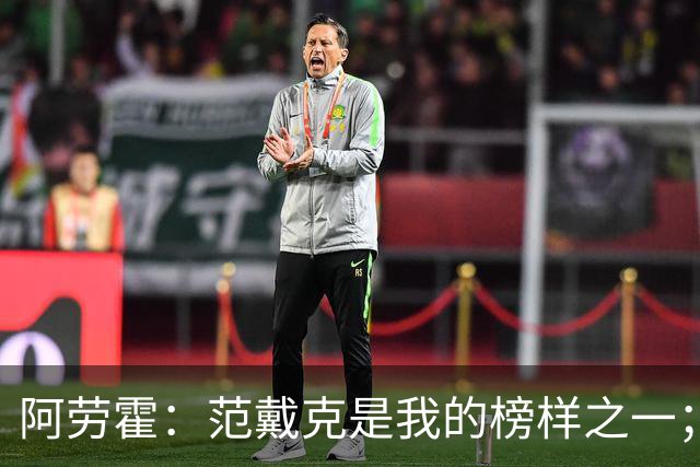 阿劳霍：范戴克是我的榜样之一；儿时唯一的偶像是小罗