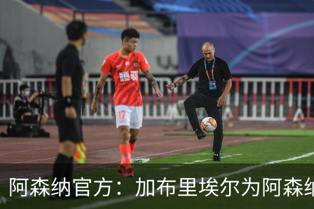 阿森纳官方：加布里埃尔为阿森纳完成200场英超出场