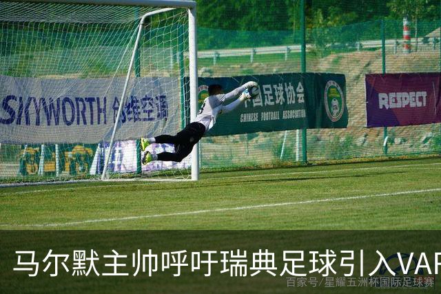 马尔默主帅呼吁瑞典足球引入VAR：瑞典足球会因此受益