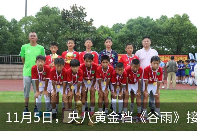 11月5日，央八黄金档《谷雨》接档《小城良方》！阵容不错，要火