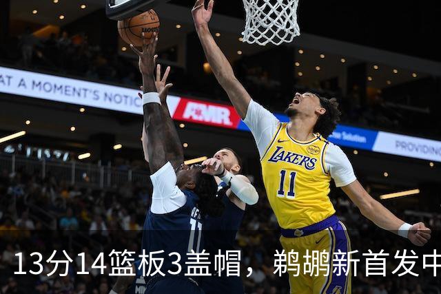 13分14篮板3盖帽，鹈鹕新首发中锋首秀交出两双