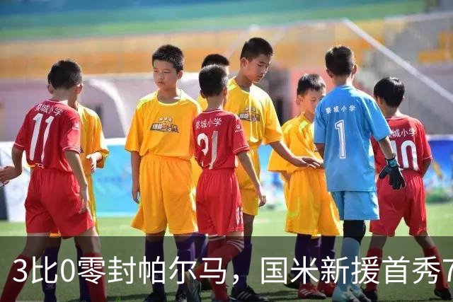 3比0零封帕尔马，国米新援首秀73分钟收获全场欢呼
