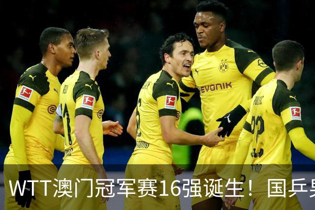 WTT澳门冠军赛16强诞生！国乒男单仅剩2人，日本女单主力全员晋级